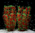 JIHAQUA Aquarium Decor Plastic Plants Extra Large 21 Inches Artificial Fish Tank Plants Tall Fish Tank Decorations (Wine 2pcs)