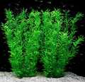 JIHAQUA Aquarium Decor Plastic Plants Extra Large 21 Inches Artificial Fish Tank Plants Tall Fish Tank Decorations (Green 2pcs)