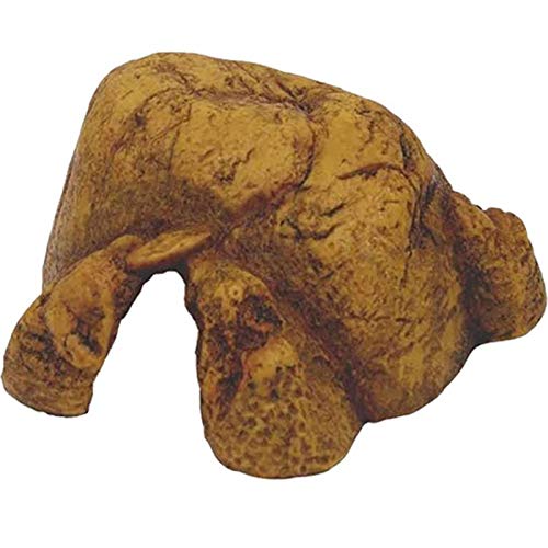 Exo Terra Reptile Den Extra Large