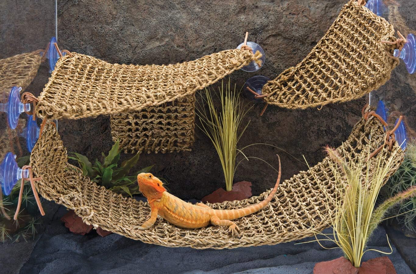 PENN-PLAX Reptology Lizard Lounger Corner Triangle – 100% Natural Seagrass Fiber – Great for Bearded Dragons, Anoles, Geckos, Iguanas, and Other Reptiles – Smal