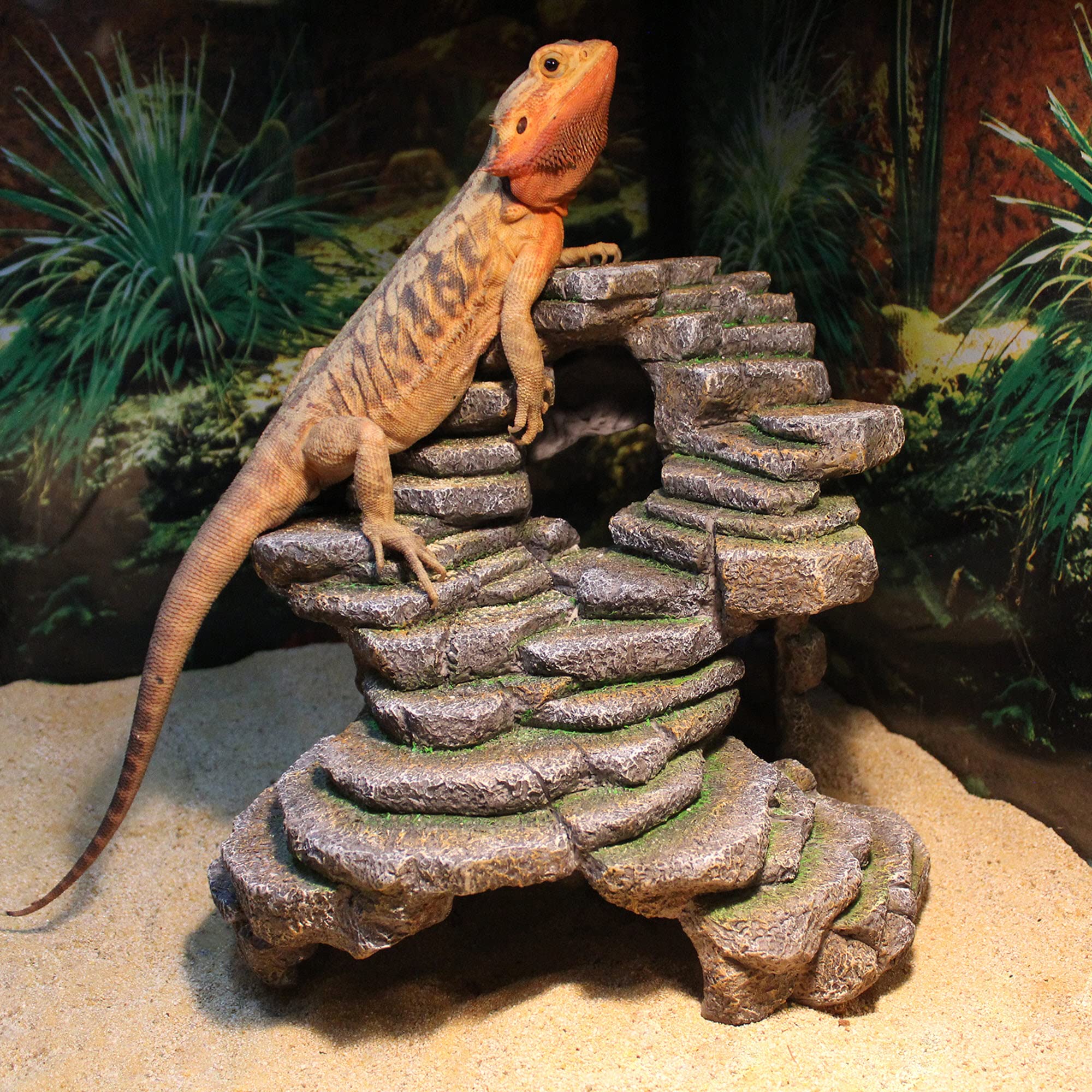 Penn-Plax Reptology Shale Scape Step Ledge & Cave Hideout - Durable Resin Reptile Platform for Climbing & Basking -Realistic Rock Decor for Territorial Fish & Reptiles -Blue Camo, 11.8 x 9.5 x 10.5 In