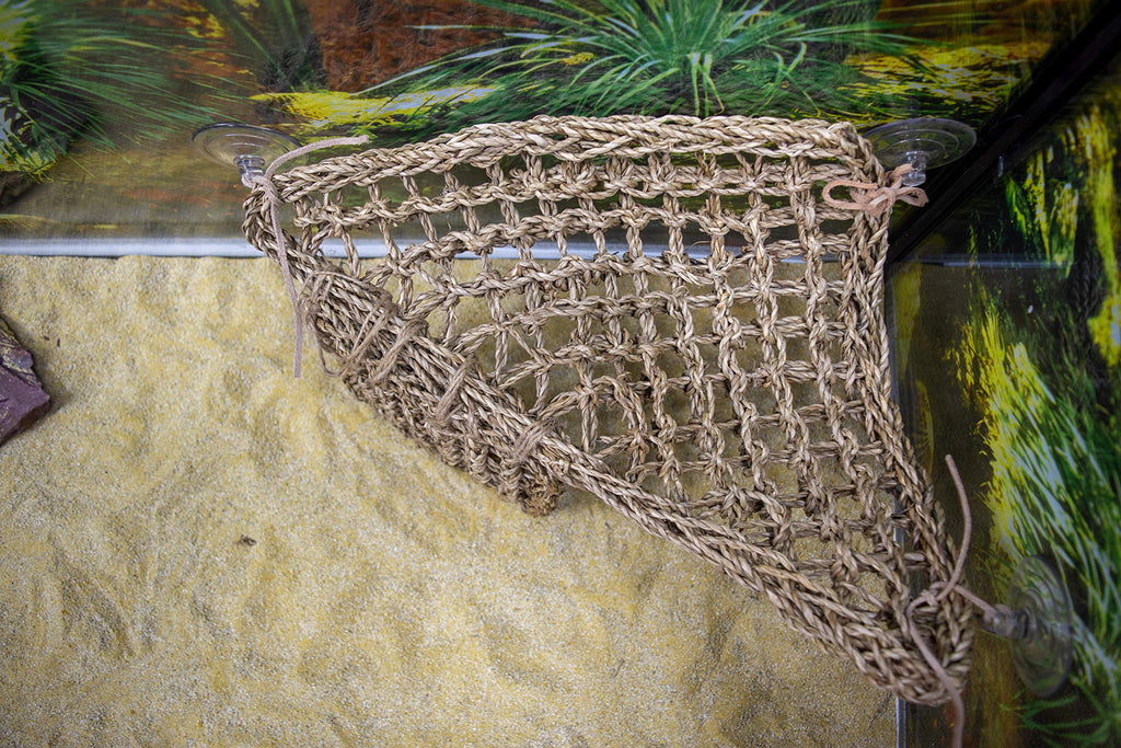 Penn-Plax Reptology Lizard Lounger Corner Triangle with Ladder– 100% Natural Seagrass Fiber – Great for Bearded Dragons, Anoles, Geckos, and Other Reptiles – Large