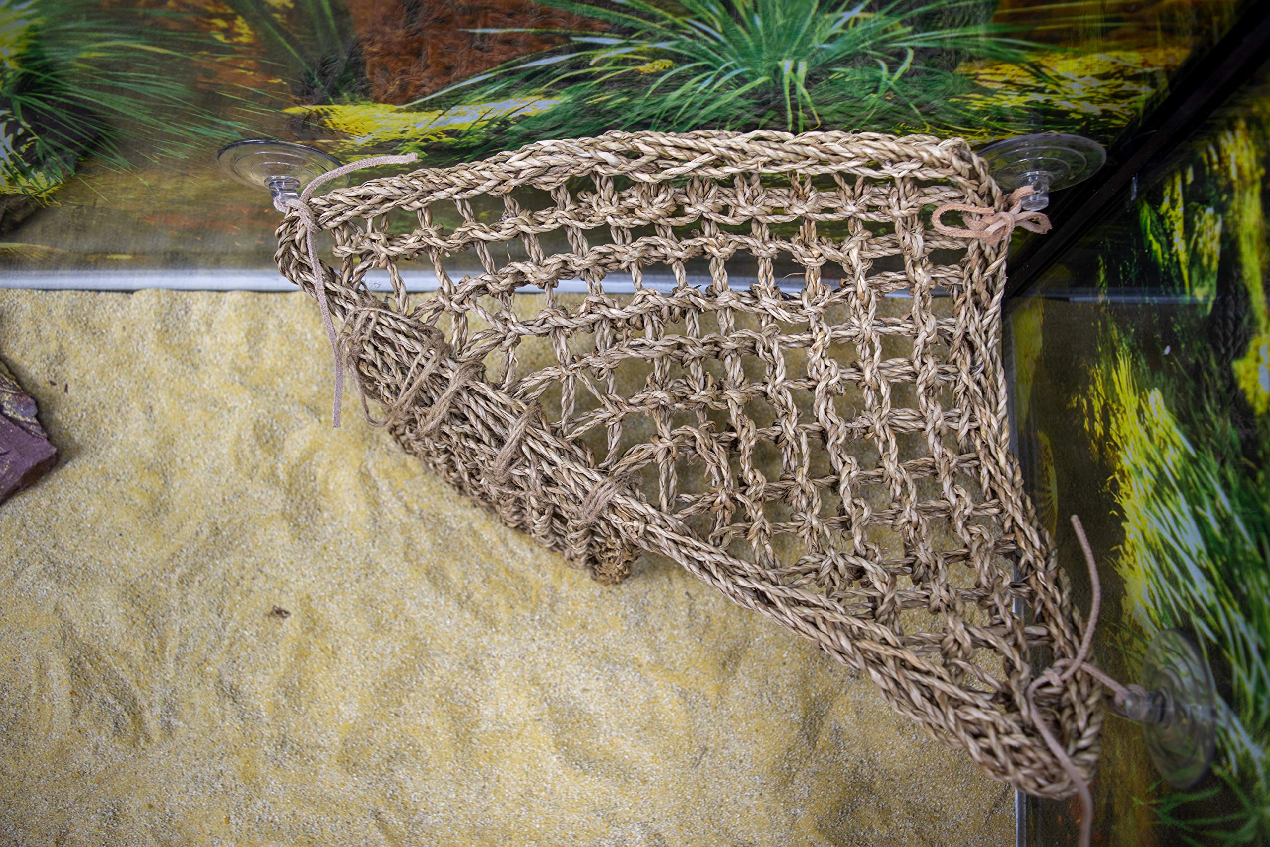 Penn-Plax Reptology Lizard Lounger Corner Triangle with Ladder– 100% Natural Seagrass Fiber – Great for Bearded Dragons, Anoles, Geckos, and Other Reptiles – Large