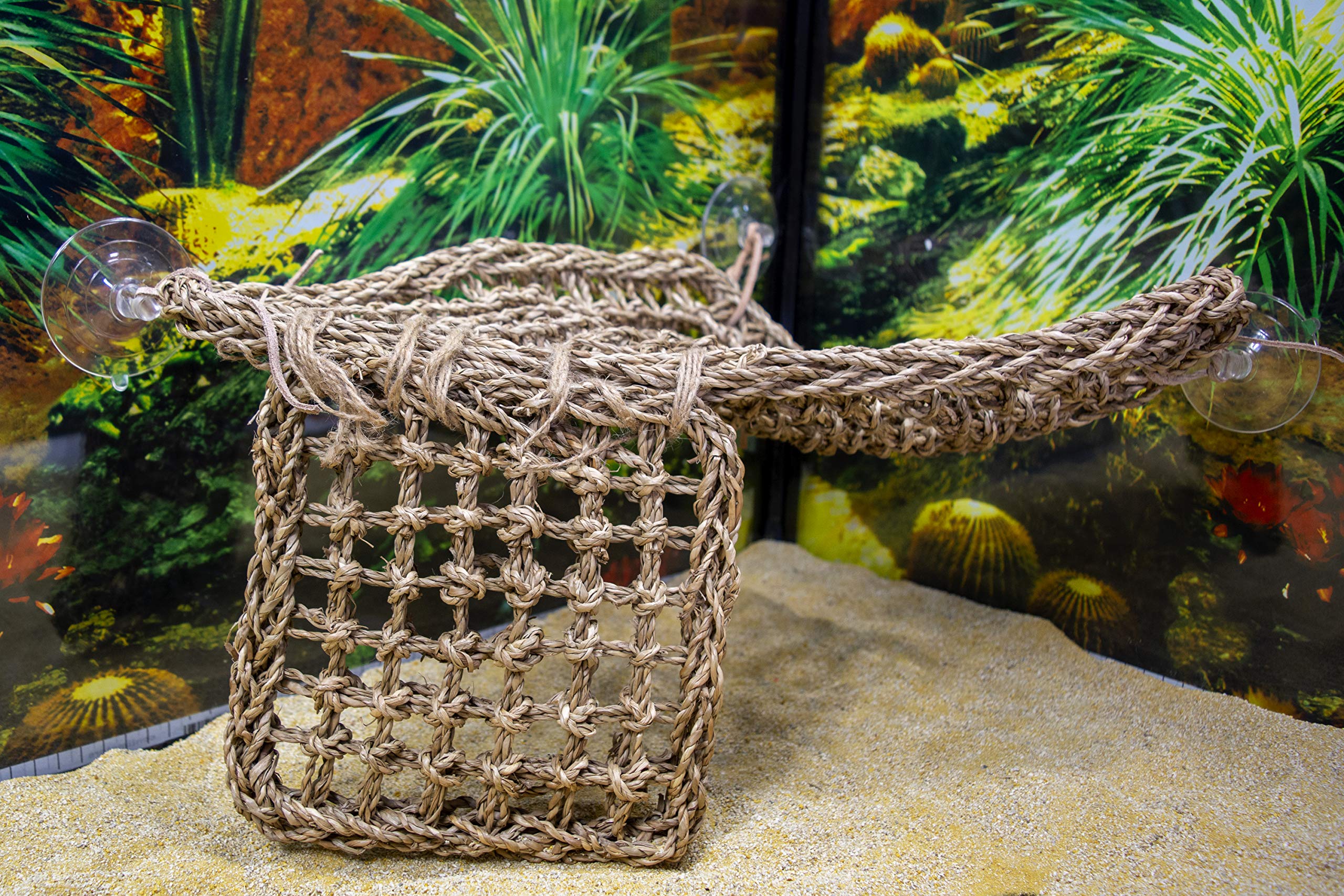 Penn-Plax Reptology Lizard Lounger Corner Triangle with Ladder– 100% Natural Seagrass Fiber – Great for Bearded Dragons, Anoles, Geckos, and Other Reptiles – Large
