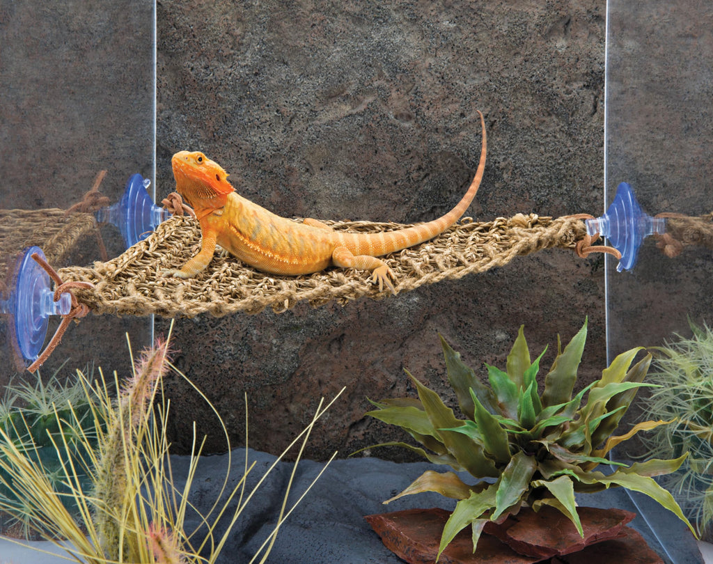 PENN-PLAX Reptology Lizard Lounger Corner Triangle – 100% Natural Seagrass Fiber – Great for Bearded Dragons, Anoles, Geckos, Iguanas, and Other Reptiles – Smal